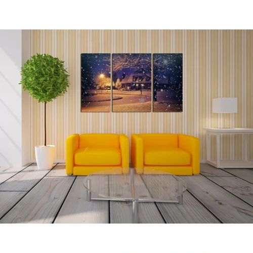 تابلو عکس دیواری سه تکه