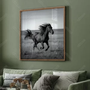 تابلو اسب دونده سیاه و سفید