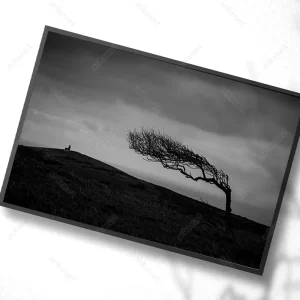 تابلو درخت سیاه و سفید
